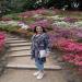 Jane McDonald: Lost in Japan