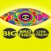 Big Brother: Live Stream
