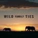 Wild Family Ties