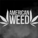 American Weed