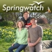 Springwatch