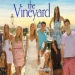 The Vineyard