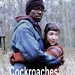 Cockroaches