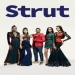 Strut