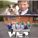 The Yorkshire Vet