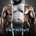 Fit to Fat to Fit