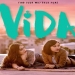 Vida