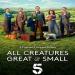 All Creatures Great and Small
