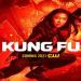 Kung Fu
