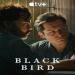 Black Bird
