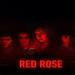 Red Rose