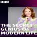 The Secret Genius of Modern Life