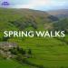 Spring Walks